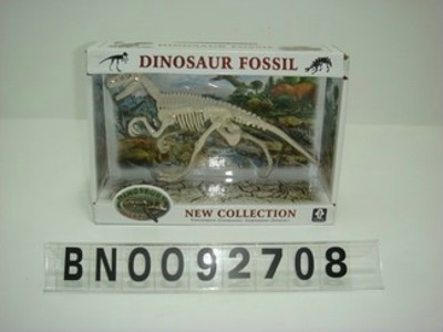 DINOSOUR FOSSIL,