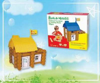 BUILDING BRICKS ,