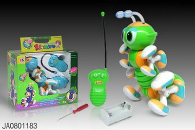 R/C ANT,