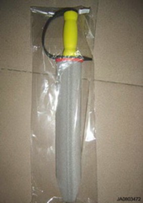 EVA SWORD,