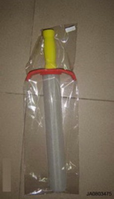 EVA SWORD,