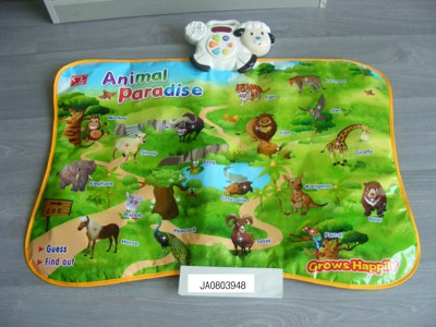 LEARNIING RUG,