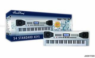 54 KEYS MULTI-FUNCTION ELECTRONIC ORGAN W/CHARGER,