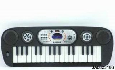 19 KEYBOARD ELECTRONIC ORGAN,