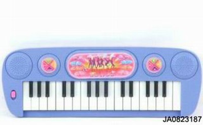 19 KEYBOARD ELECTRONIC ORGAN,