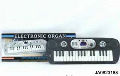 19 KEYBOARD ELECTRONIC ORGAN,