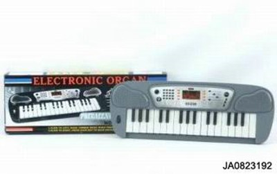 19 KEYBOARD ELECTRONIC ORGAN,