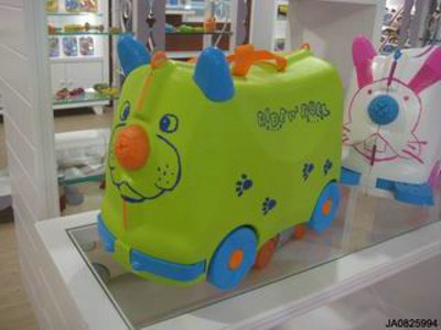 RIDING A TYPE THE HAND LUGGAGE,