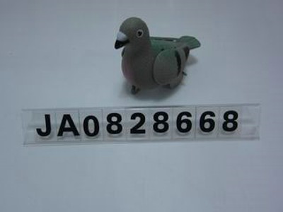 PULLING PIGEON,