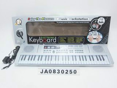 61 KEYBOARD MULTIFUNCTION ELECTRONIC ORGAN W/MICROPHONE,