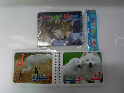 LEARNING BOOK,