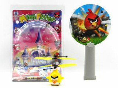 R/C BIRD,