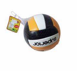 VOLLEYBALL,