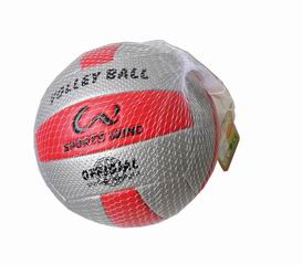 VOLLEYBALL,