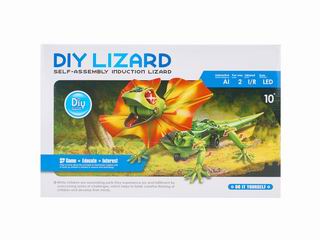 DIY LIZARD,