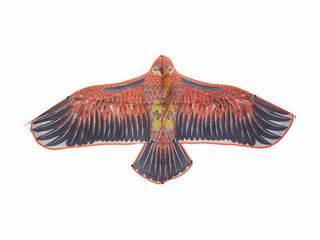 1.6M EAGLE KITES W/LINE,