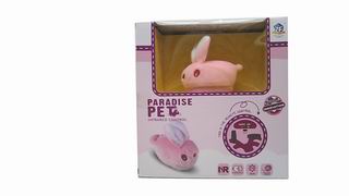 R/C LEVERET,