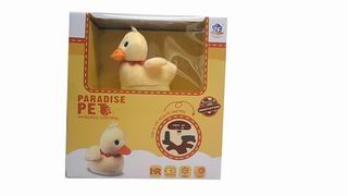 R/C DUCK,