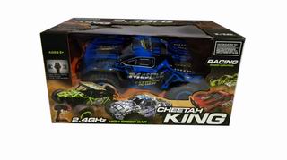 2.4G SPEED CAR,