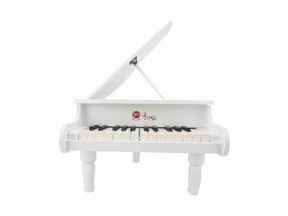 ELECTRONIC ORGAN,
