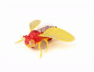 PULL LINE BEE W/LIGHT,