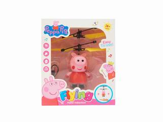 INDUCTION TOY,
