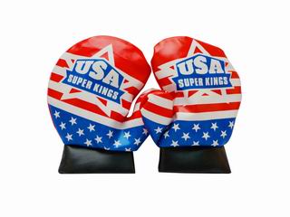 BOXING SETS,