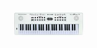 ELECTRONIC ORGAN W/MICROPHONE,