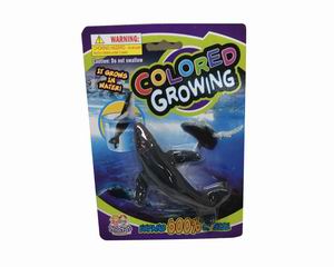 COLORED GROWING,