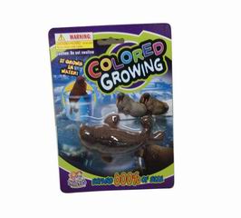 COLORED GROWING,