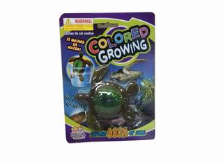 COLORED GROWING,