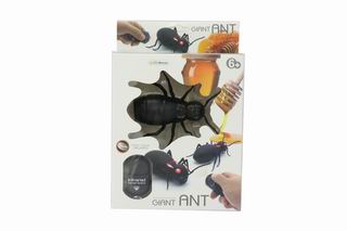 R/C ANT,