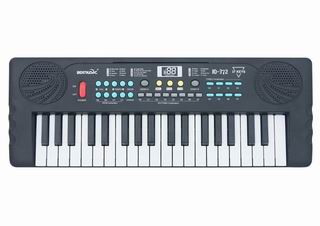 ELECTRONIC ORGAN,