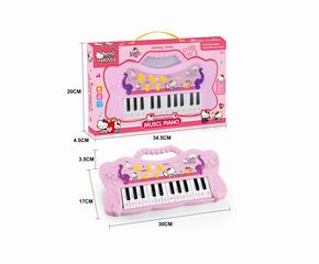 ELECTRONIC ORGAN,