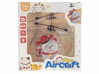 FLYING AIRCRAFT,
