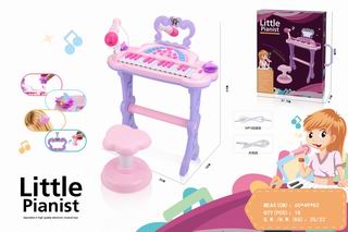 ELECTRONIC ORGAN,