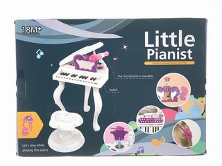 ELECTRONIC ORGAN,