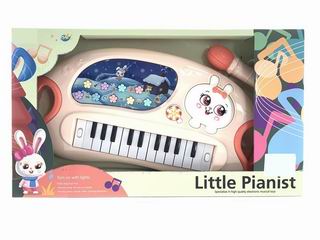ELECTRONIC ORGAN,