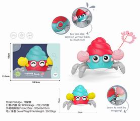 PADDLE HERMIT CRAB,