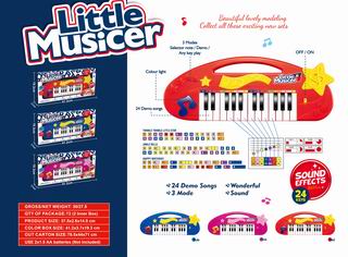 24 KEY ELECTRONIC KEYBOARD,