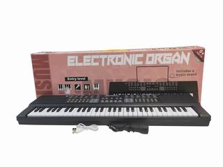 61 KEY ELECTRONIC ORGAN,