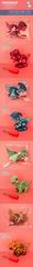 DISMOUNTING DINOSAUR,