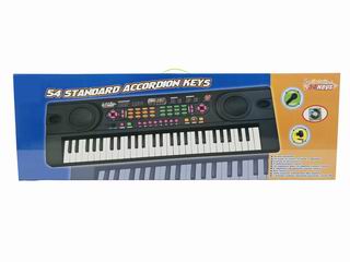 54 KEY ELECTRONIC ORGAN W/MICROPHONE & LIGHT,