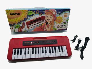 37 KEYS ELECTRONIC ORGAN W/MICROPHONE & USB,