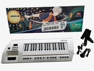 37 KEYS ELECTRONIC ORGAN W/MICROPHONE & USB,