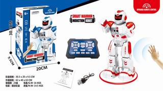 R/C ROBOT,