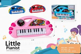 ELECTRONIC ORGAN,