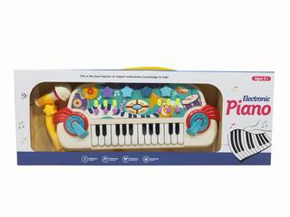 ELECTRONIC ORGAN,