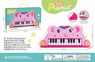ELECTRONIC ORGAN,