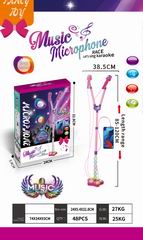 MICROPHONE W/LIGHT,